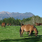 Kaida Highlands