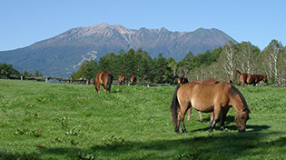 Kaida Kogen (plateau) area