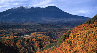 九蔵峠紅葉