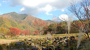 木曽駒高原紅葉