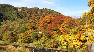山吹山紅葉