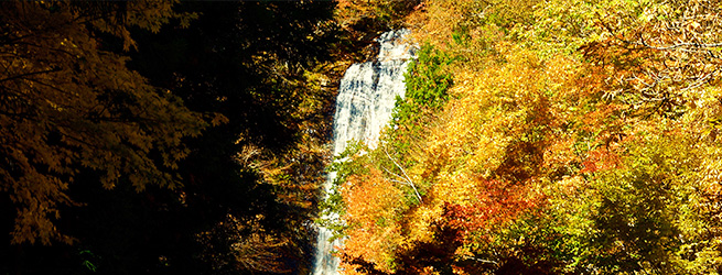紅葉めぐり