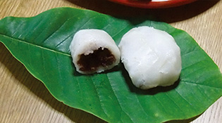 ほう葉巻き