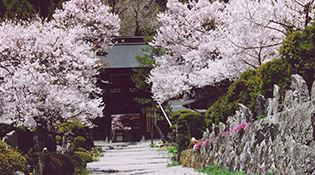 도쿠온지(徳音寺)