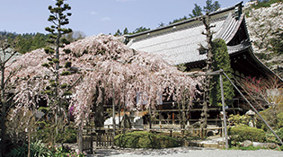 고젠지(興禅寺)