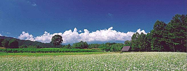 Kaida Highlands